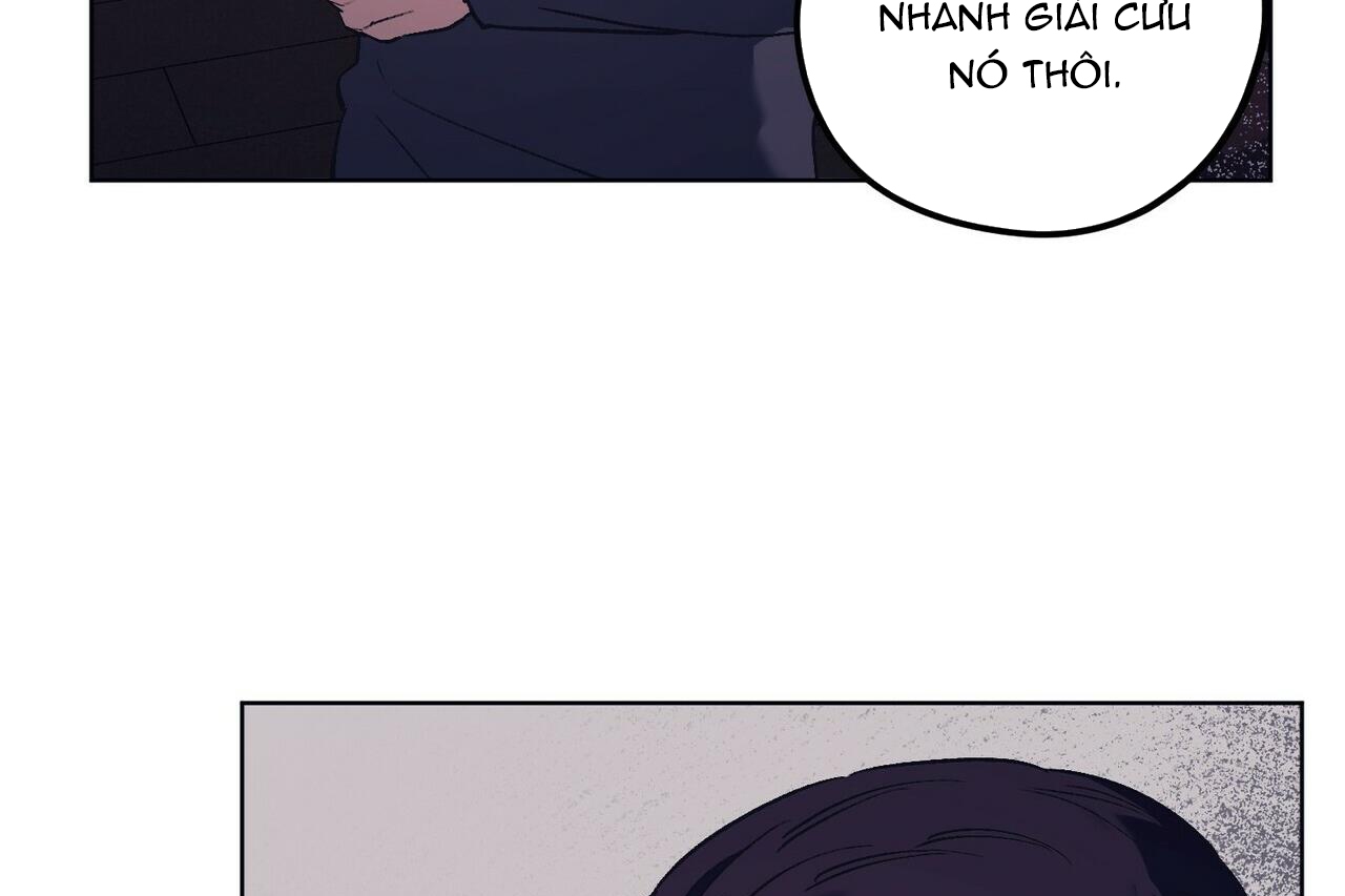 chàng dâu nhà họ kang chapter 13 124