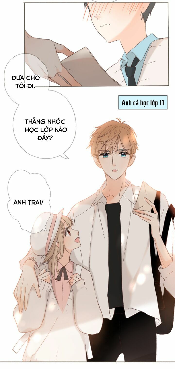 Tình yêu là màu hoa anh thảo chapter 37.1 8