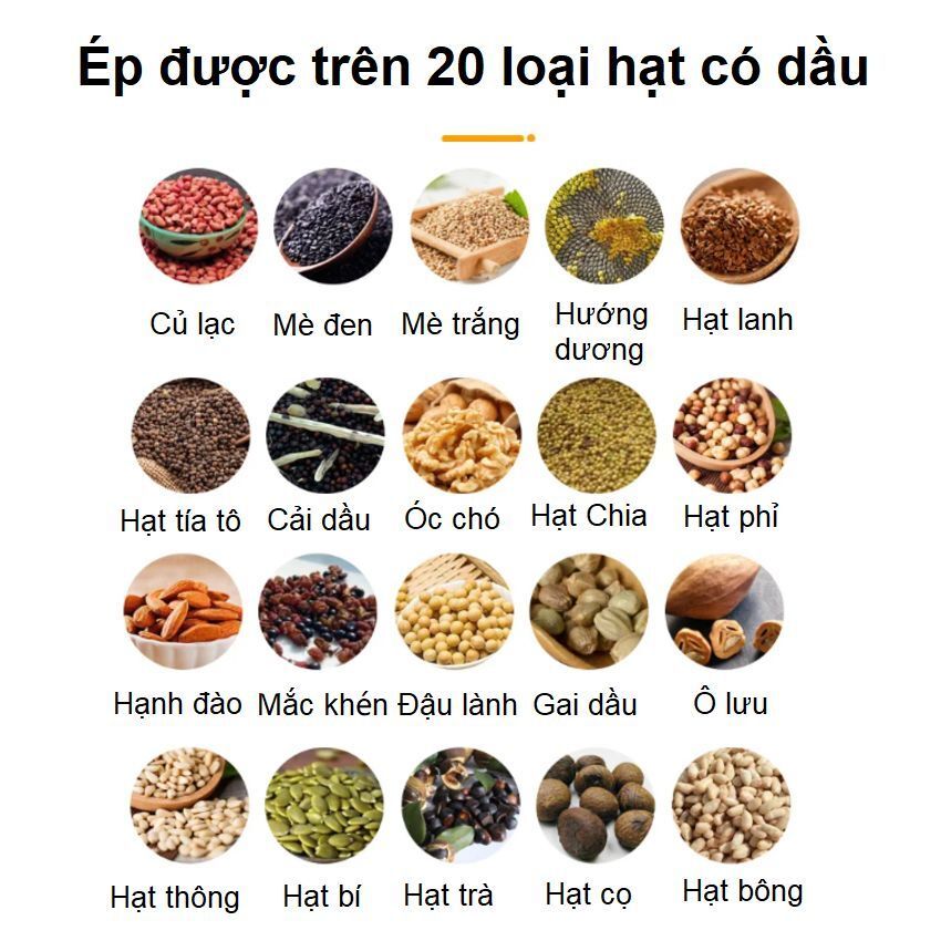 Máy ép dầu thực vật chuyên nghiệp thương hiệu Anh Quốc Aosida B03S - Năng suất 4-6kg/giờ - Hàng chính hãng