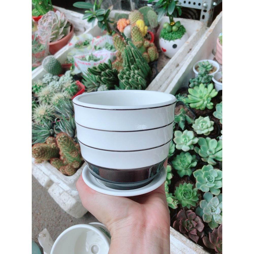 Chậu kiểu trắng đen tráng men cao cấp kèm dĩa lót