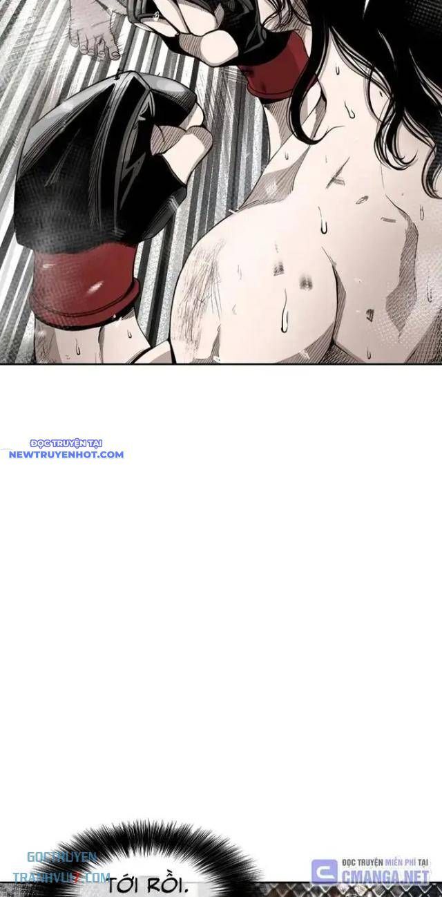 shark - cá mập chapter 184 12