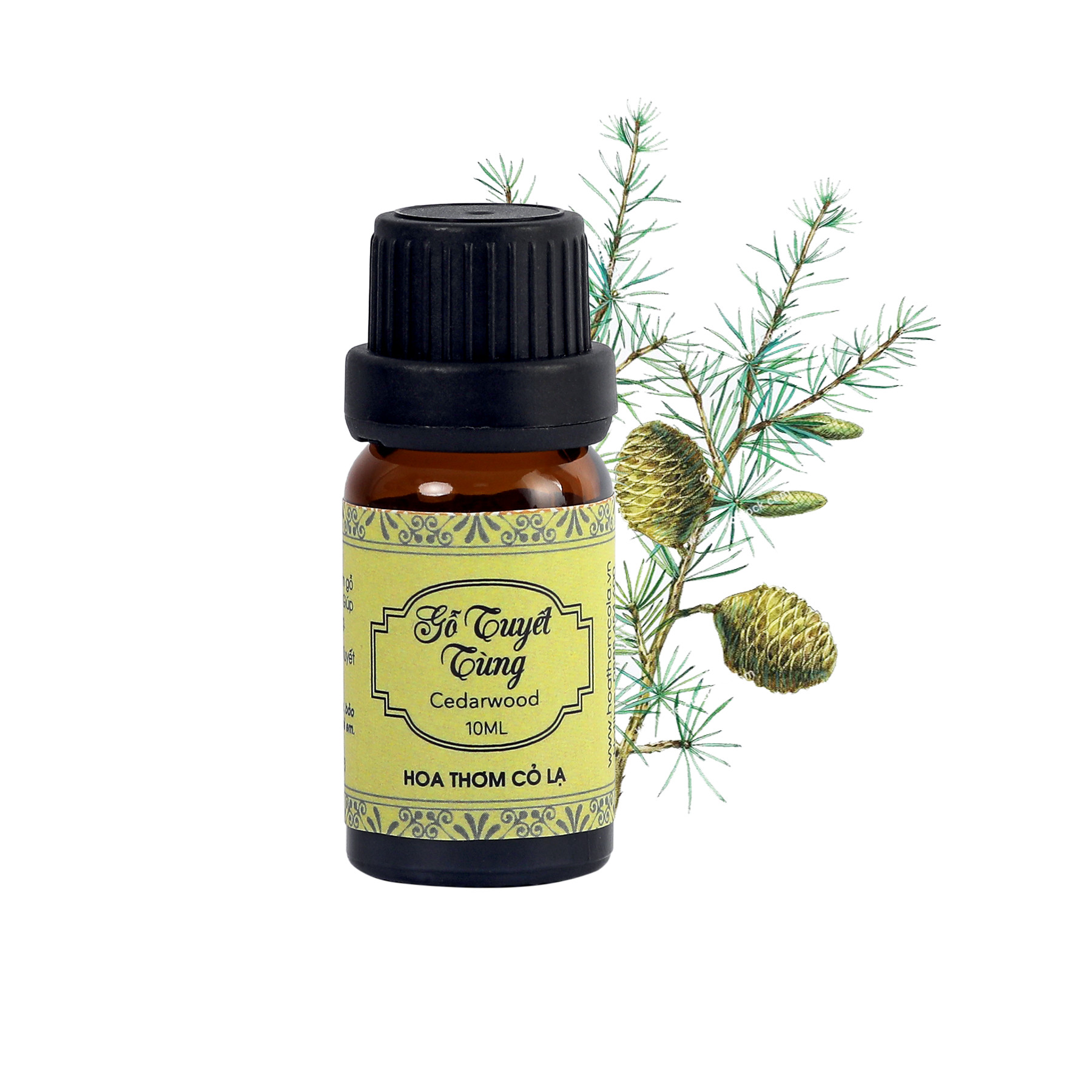 Tinh Dầu Gỗ Tuyết Tùng - Cedarwood Essential Oil 10ml - Hoa Thơm Cỏ Lạ