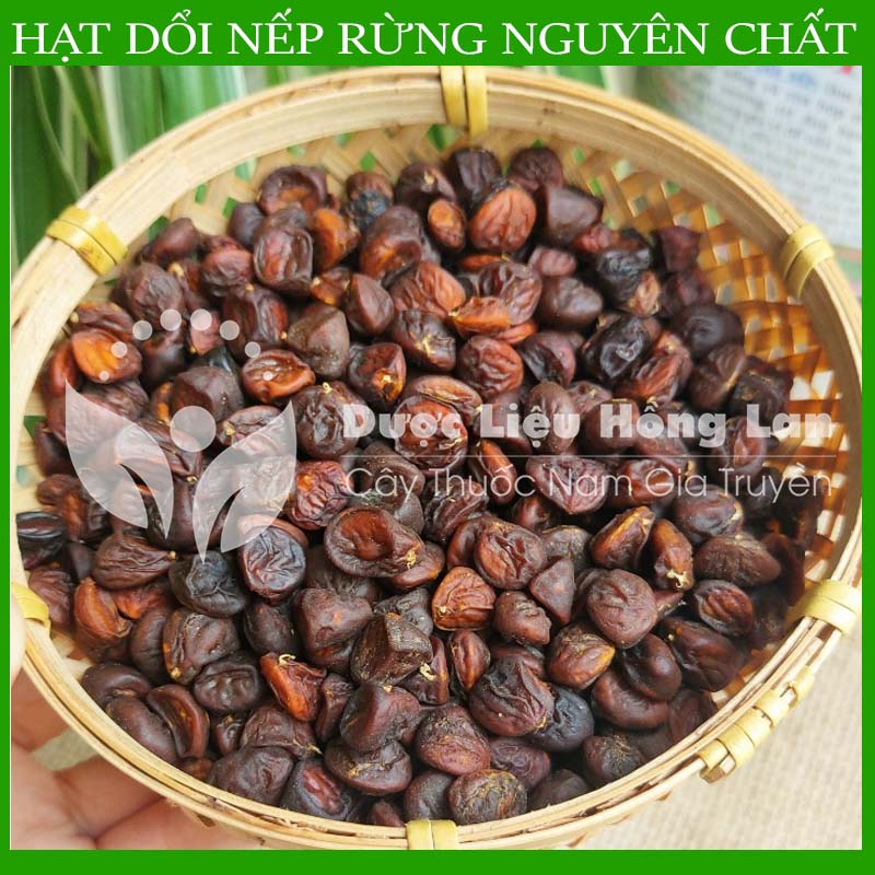 1kg Hạt dổi nếp khô sạch chuẩn rừng loại 1