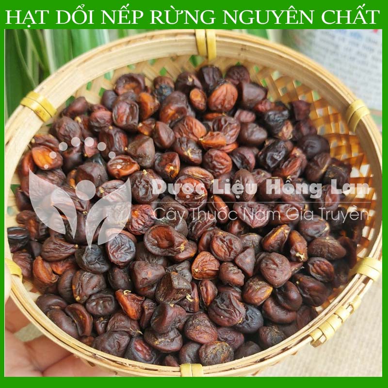 500gram Hạt dổi nếp khô sạch chuẩn rừng loại 1