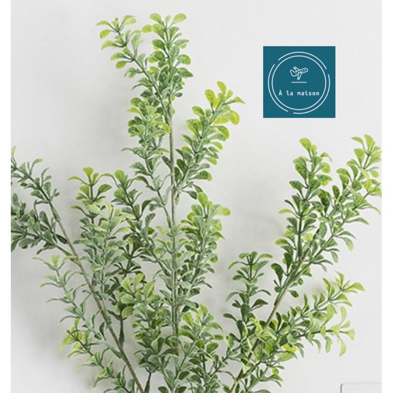Cành lá hoàng dương nhân tạo 70cm trang trí không gian xanh mát