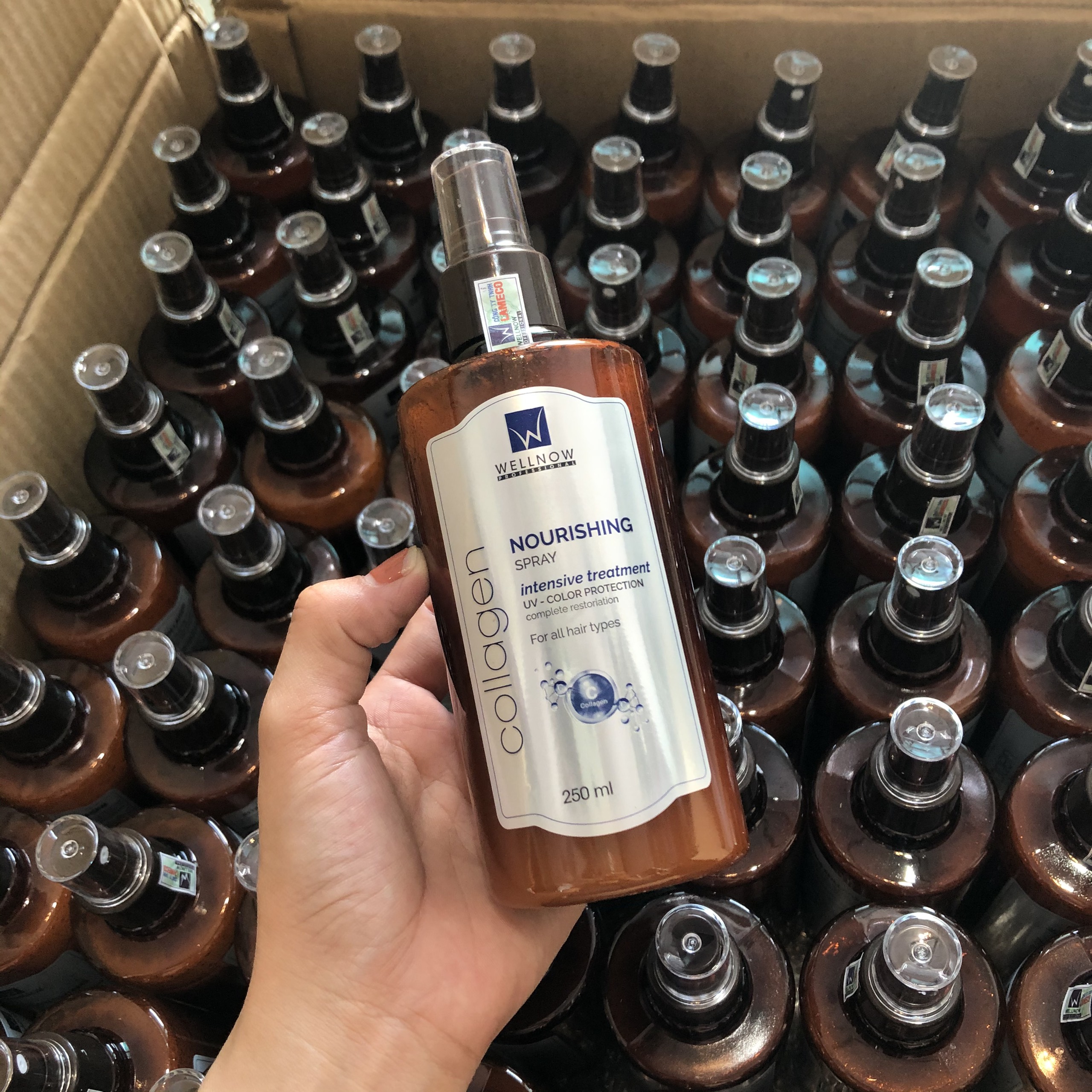 Xịt dưỡng tóc WELLNOW Hương Nước Hoa Cao Cấp - Chăm Sóc Tóc Hư Tổn 250ml