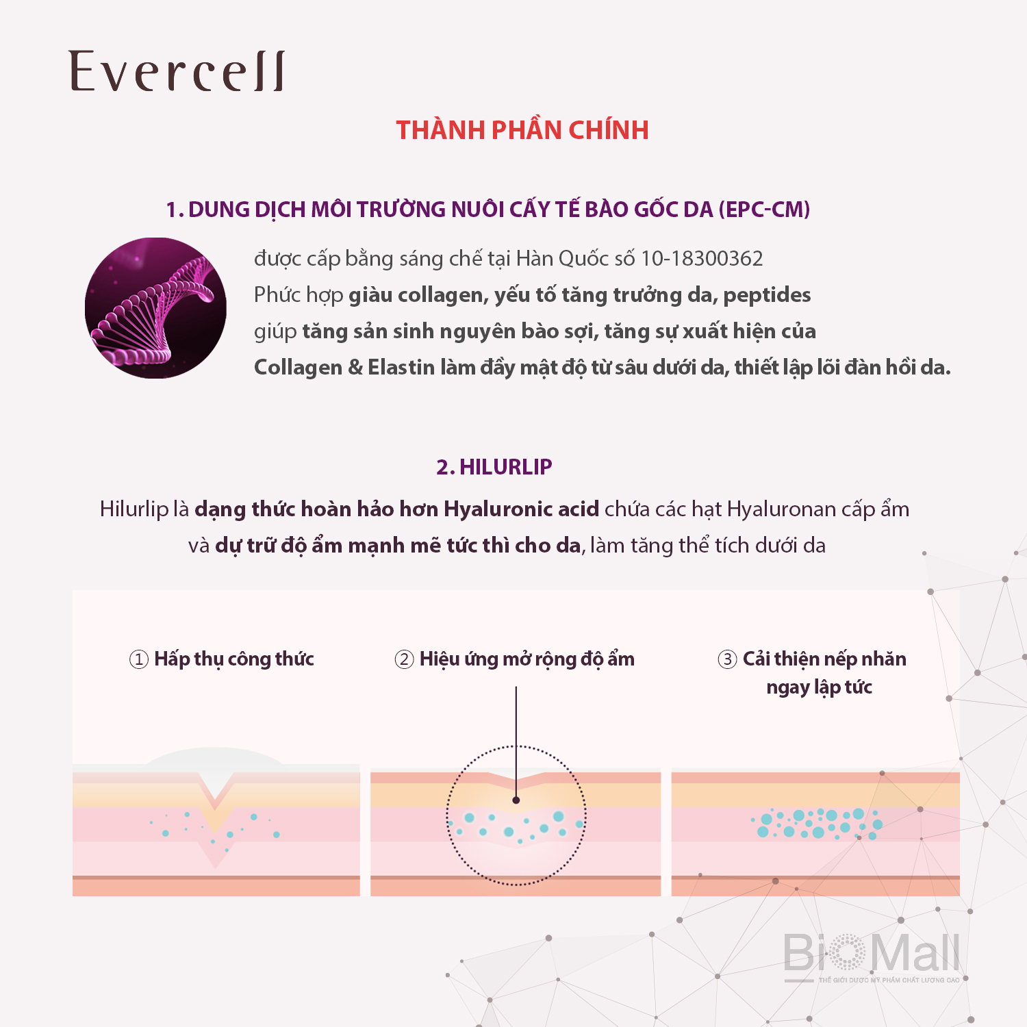 &quot;Giải pháp chuyên gia chống Nếp nhăn sâu Công nghệ Tế bào gốc EVERCELL Deep Wrinkle Solution Expert 10ml  &quot;