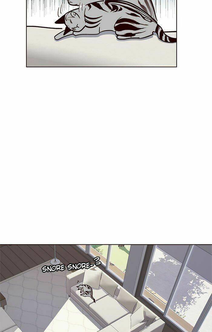 biến thân thành mèo chapter 37 44