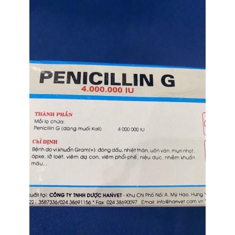 [THÚ Y] 1 lọ PENICILLIN G PENI 4 triệu 4.000.000 IU điều trị bệnh do vi khuẩn gram, đóng dấu, nhiệt thán, uốn ván, mụn nhọt, lở loét dùng cho trâu bò lợn gà chó mèo