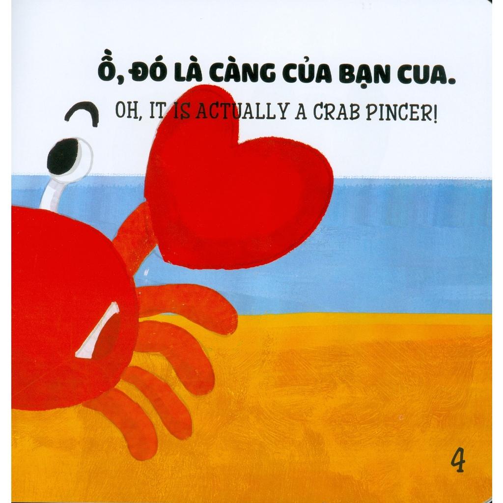 Song Ngữ Cho Bé - Ehon Nhận Biết - Cái Gì Thế Nhỉ? Phát triển tư duy não bộ và thị giác cho bé 0-6 tuổi