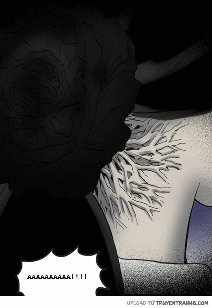 hoa mẫu đơn đen chapter 6 15