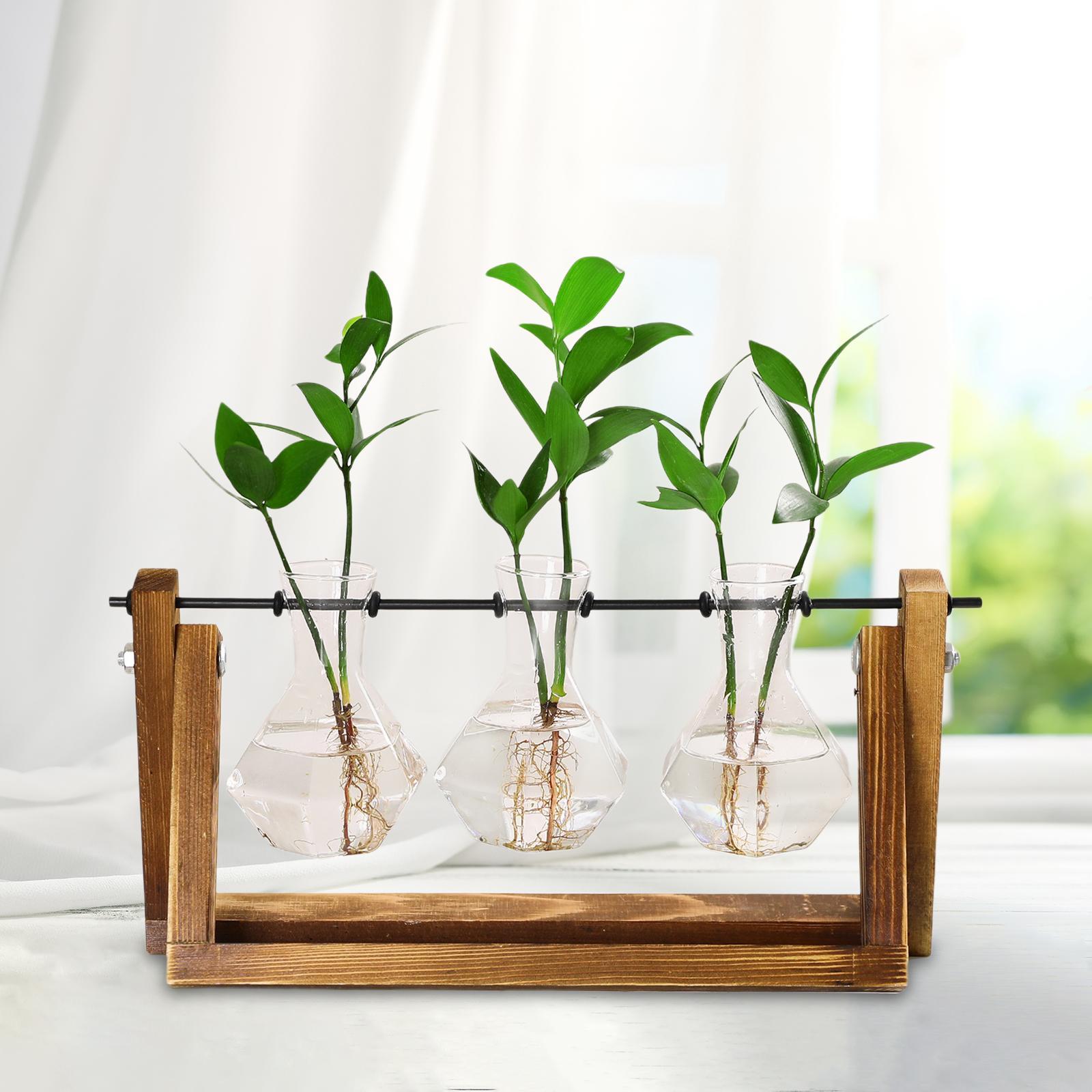 Glass Plant Terrarium Flower Bud Vase Hydroponics Wooden Rack Geometric Shelf