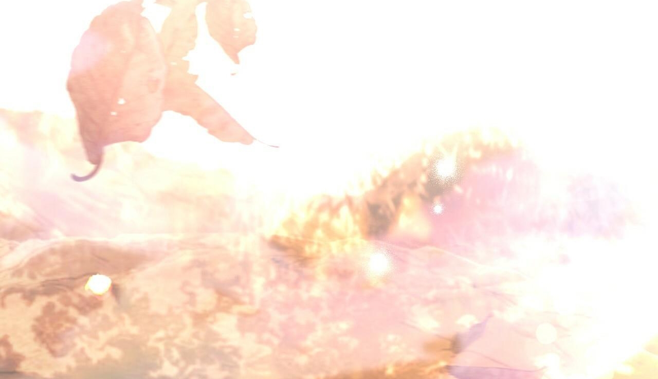 đàn thỏ của habibi chapter 48 297