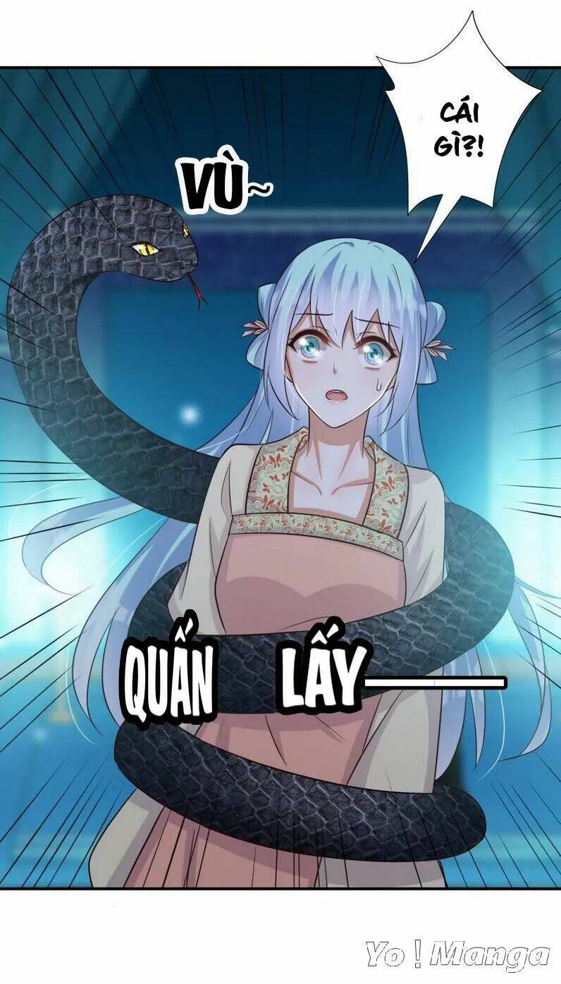 độc y cuồng phi chapter 68 29