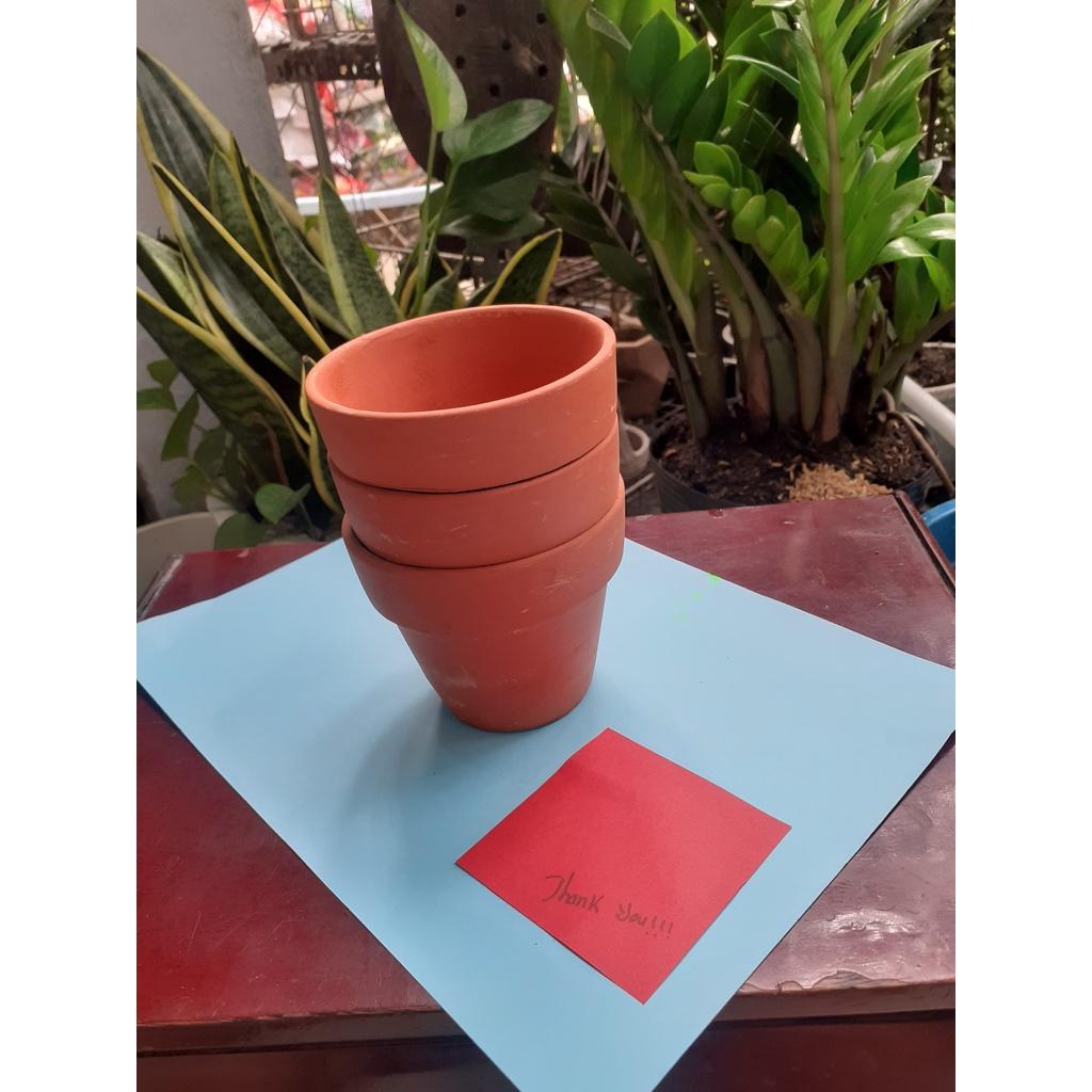 Chậu đất nung dễ thương trồng sen đá