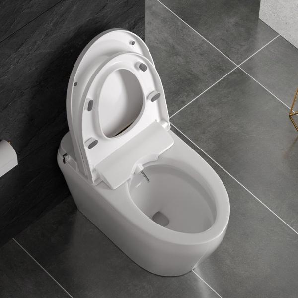 Bồn cầu bán điện tử ECOD EBE159 trang bị thêm nắp rửa cơ