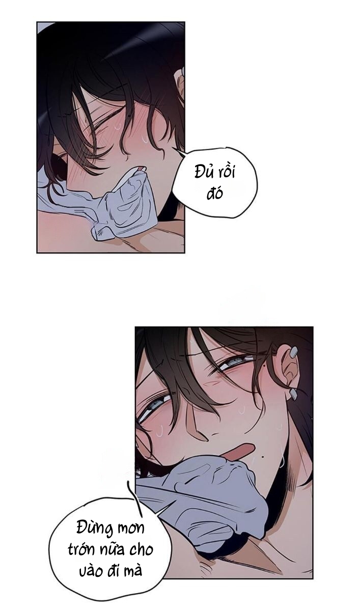 thành phố cạm bẫy chapter 5 23