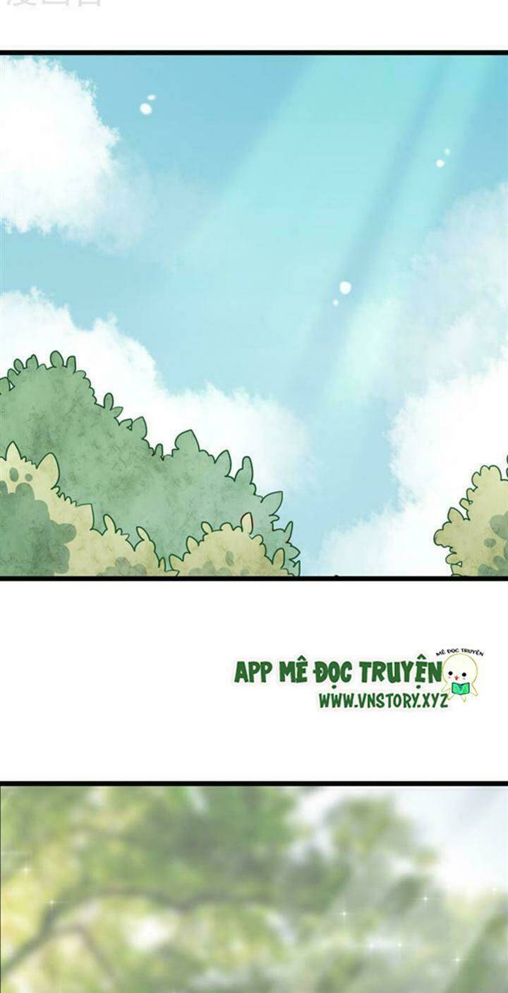 sau con mưa mùa hạ chapter 46 11