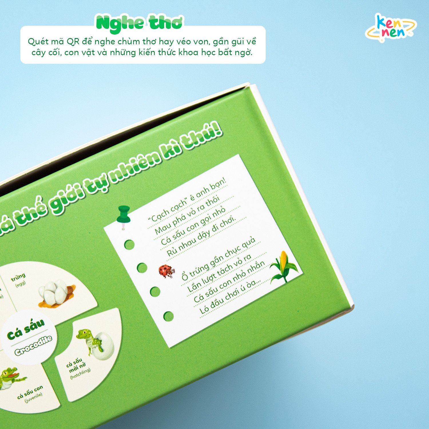 Kennen Match it - Puzzle học chữ và đánh vần Tiếng Việt 5in1 và học các Kỹ năng sống, Vòng đời của sự sống - Dành cho bé từ 3 tuổi