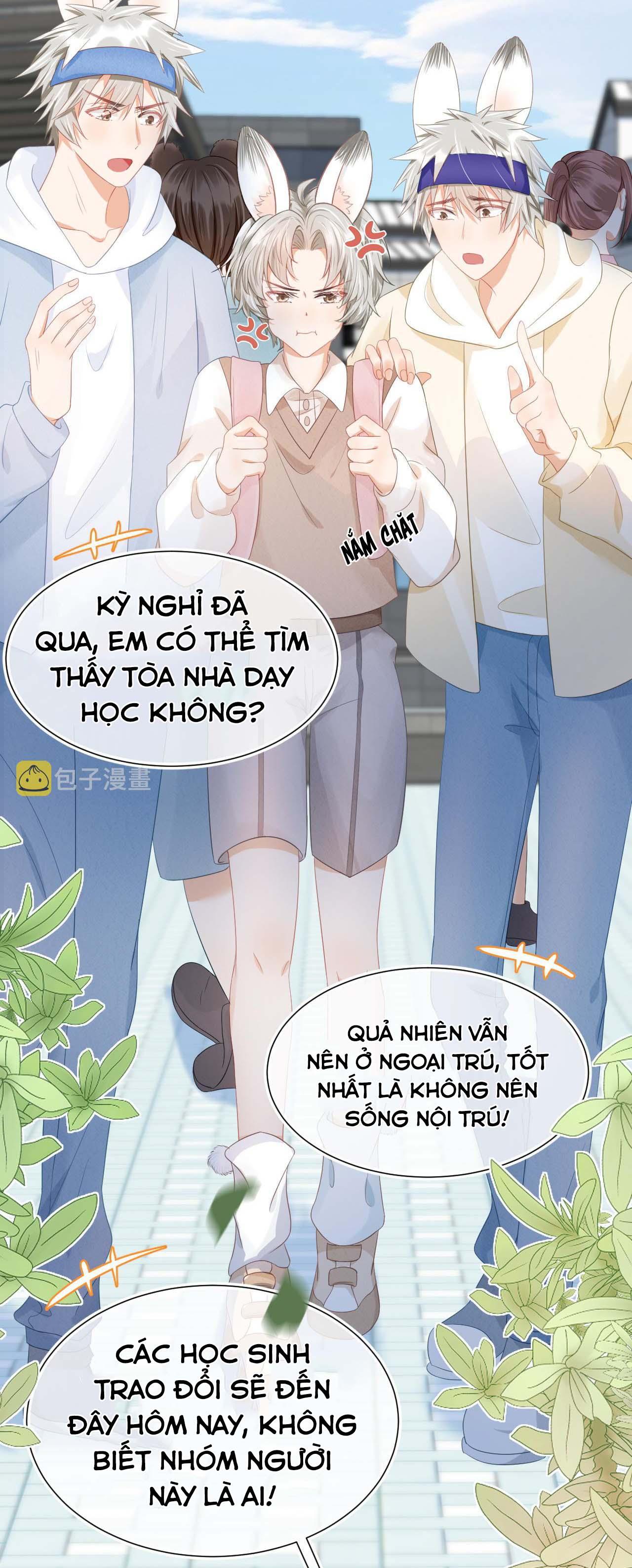 [ss2] một ngụm ăn cả thỏ con chapter 1 21