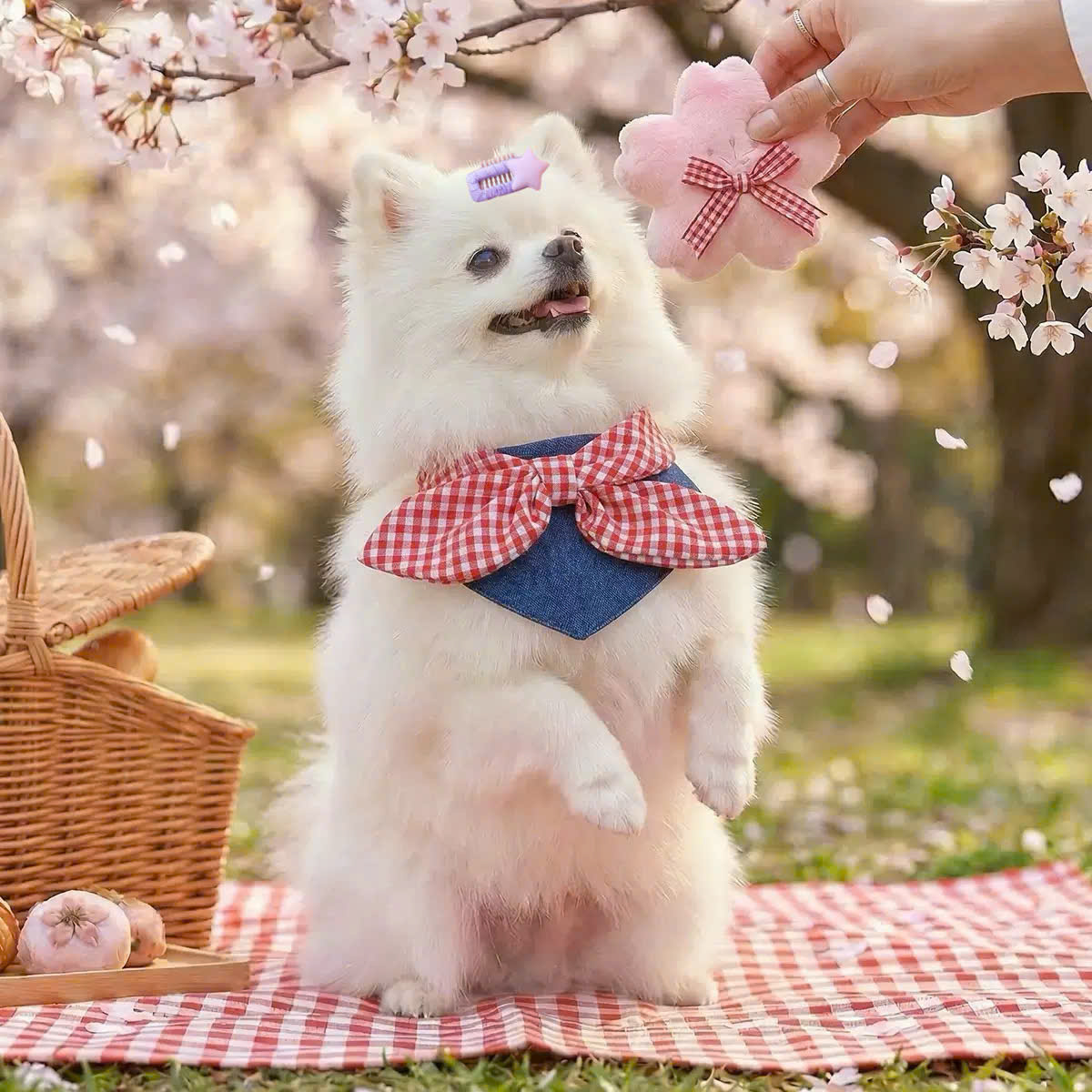 NƠ KẸP TÓC CÀI TÓC THỜI TRANG DỄ THƯƠNG NGÔI SAO CÀI ĐẦU MÃ 32 CHO THÚ CƯNG CHÓ MÈO