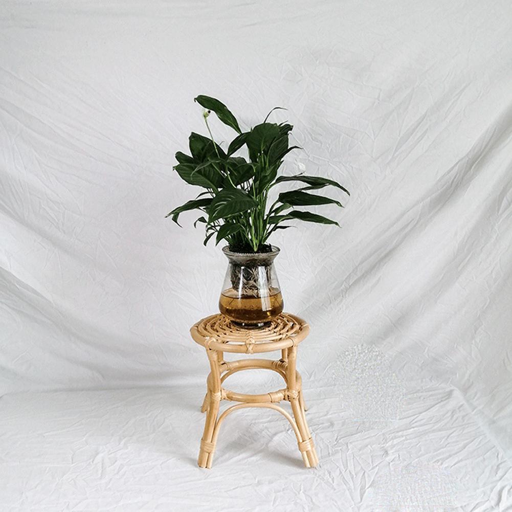 Ghế mây đan bằng tay đặt trong nhà, để chậu cây, chậu hoa