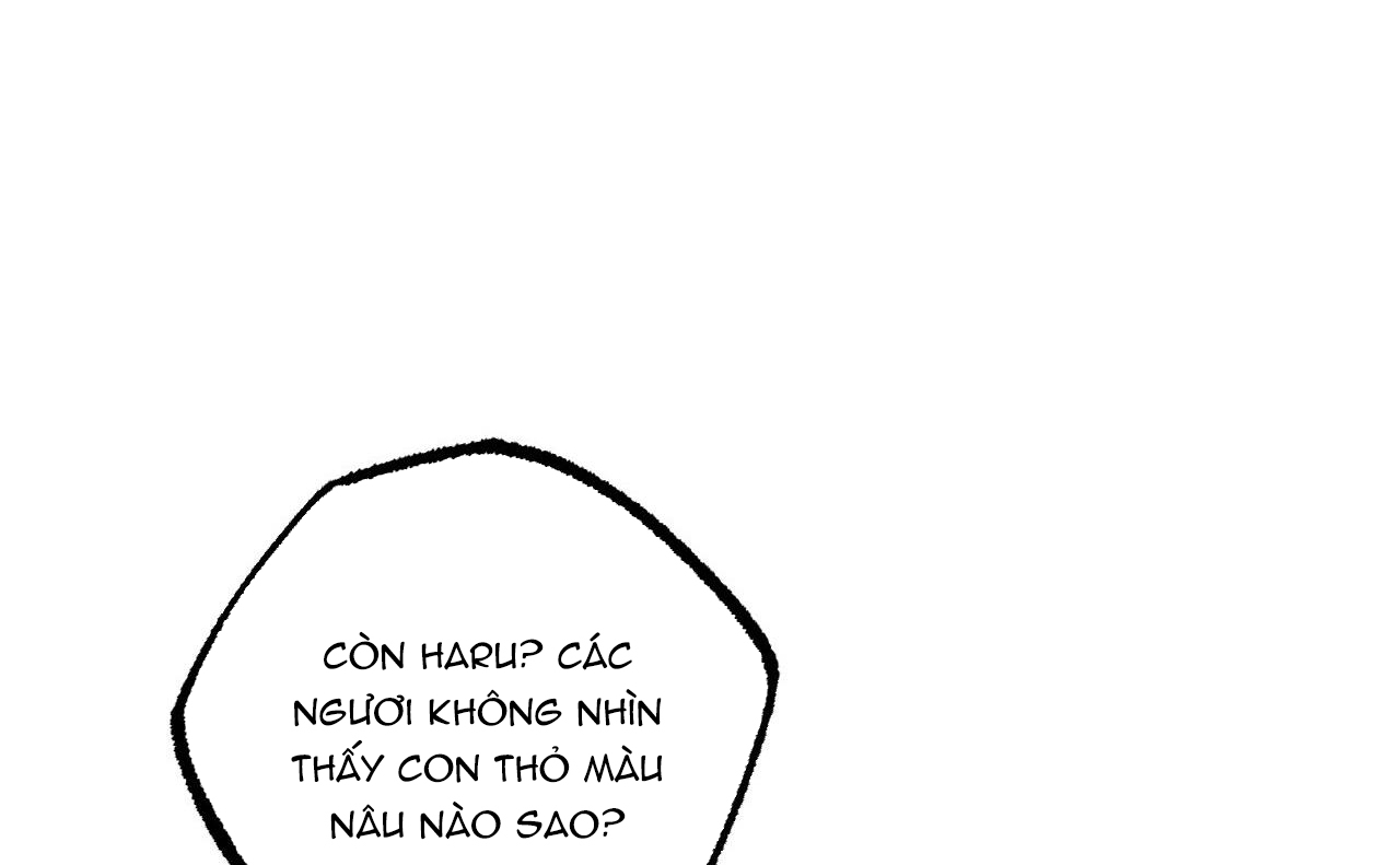 đàn thỏ của habibi chapter 46 42