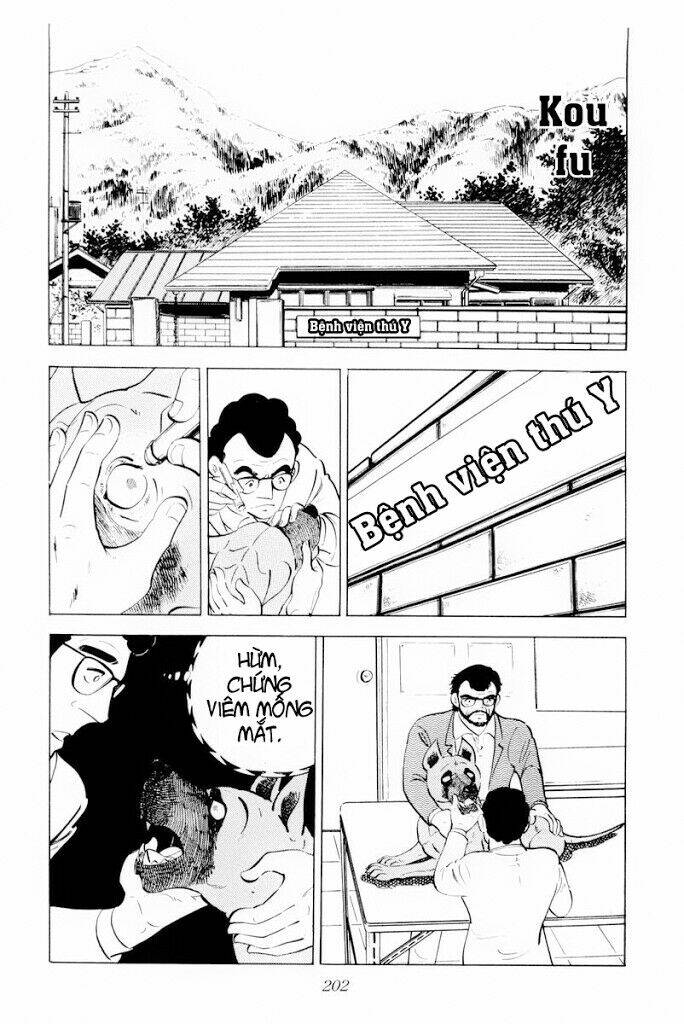 chú chó có nghĩa - ginga nagareboshi gin chapter 29 16