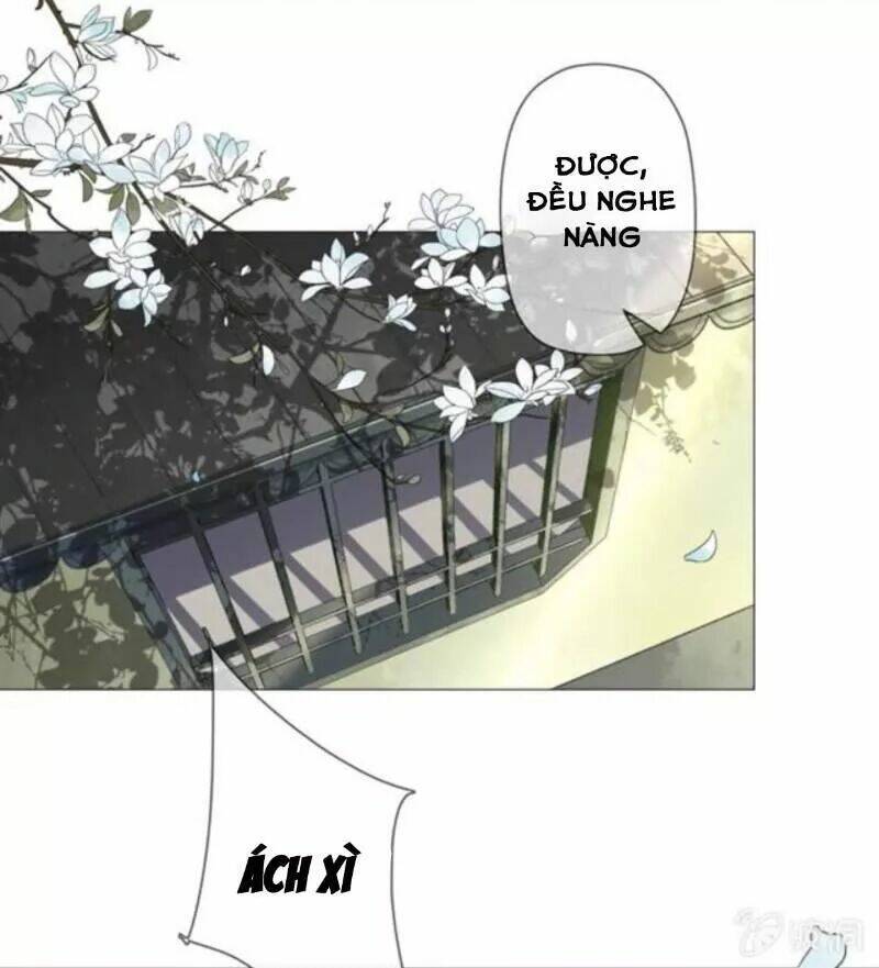 sủng phi của vương chapter 142 22