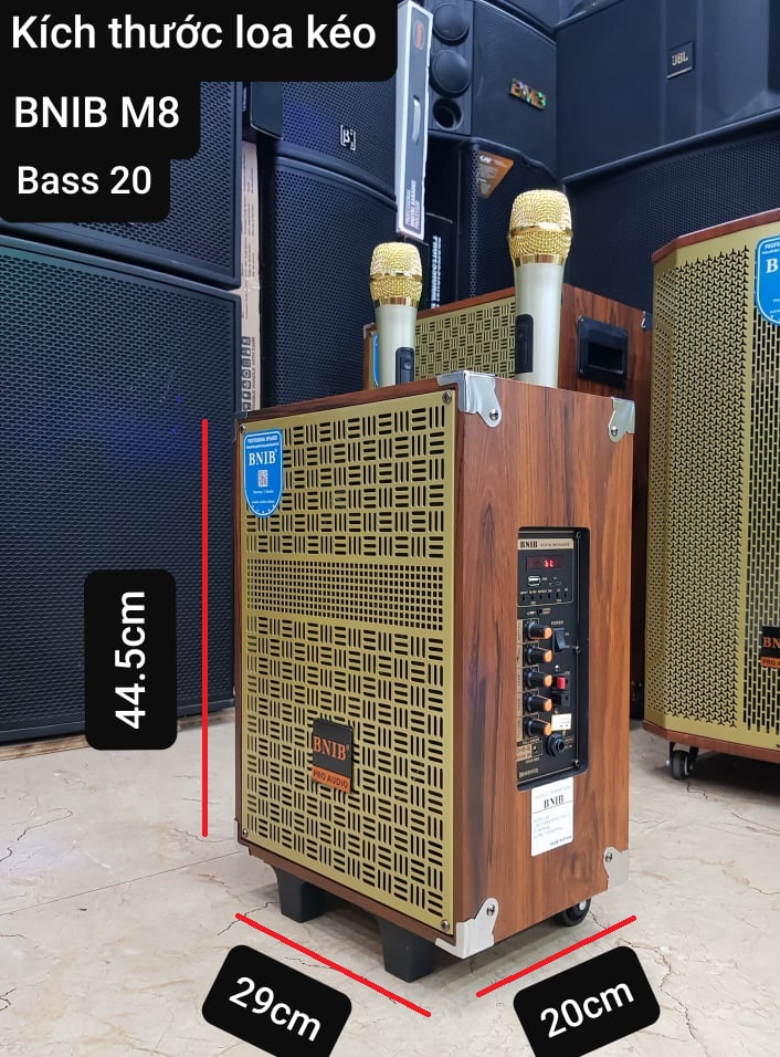 Loa kéo Karaoke Bluetooth BNIB M8: Bass 20, Có 2 Micro không dây đi kèm