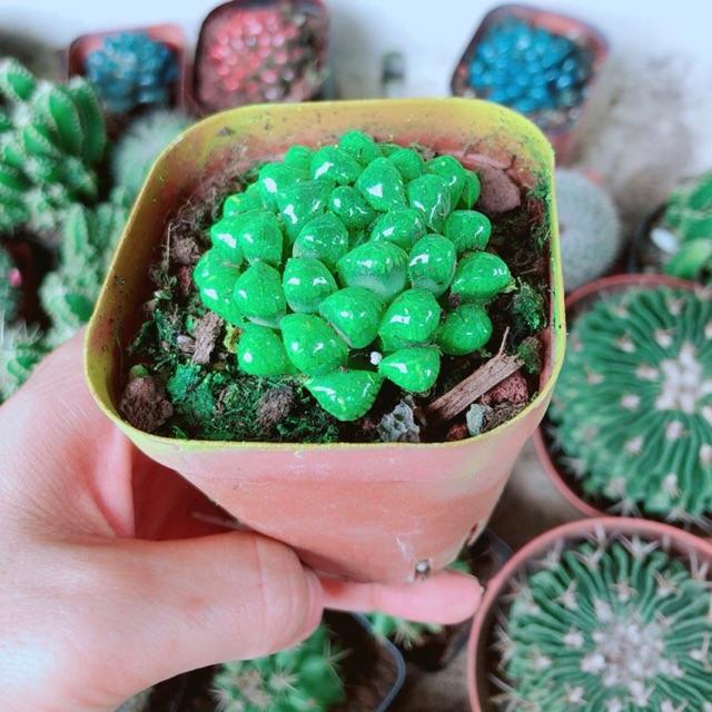 Kim Cương Xanh Lá