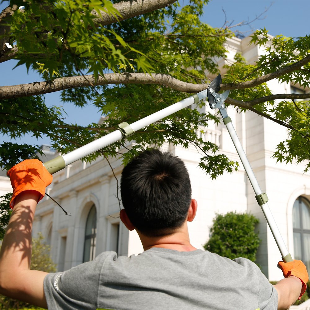 Kéo cắt cành cộng lực 1249