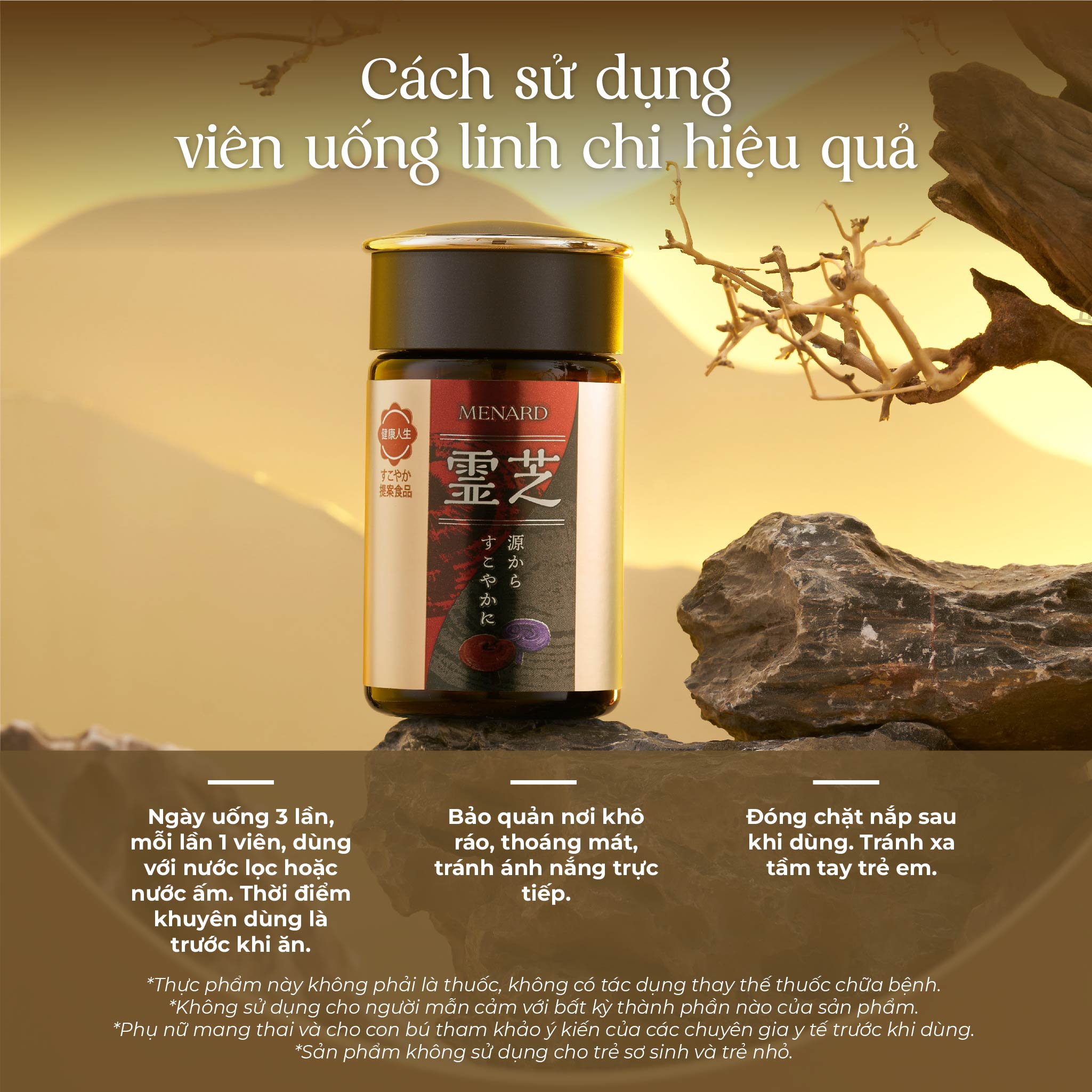 Combo 2 hộp Viên Uống Linh Chi Menard Reishi Tăng Đề Kháng