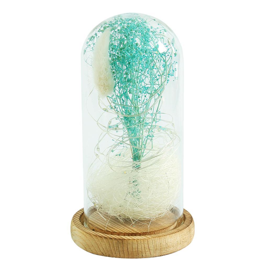 Clear Glass Lamp Night Lamp Ornament Flower LED Light in Glass