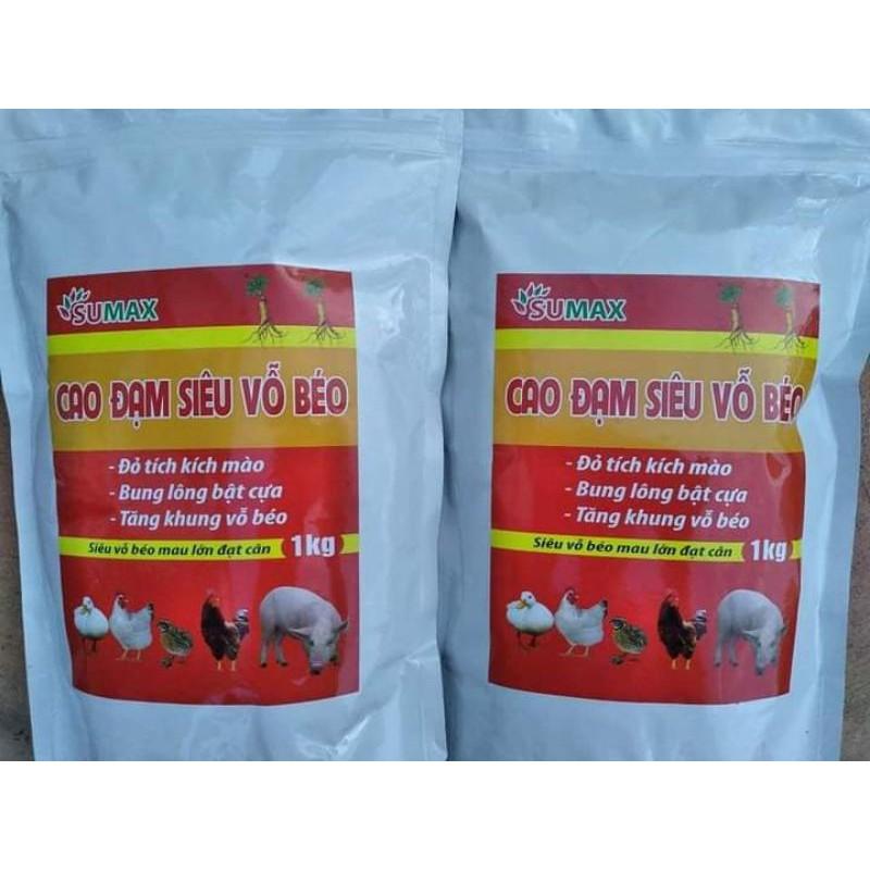CAO ĐẠM SIÊU VỖ BÉO