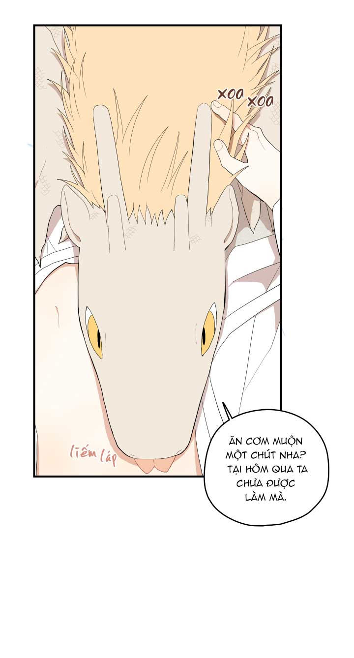 đường hoa liên kiều rơi chapter 21 14