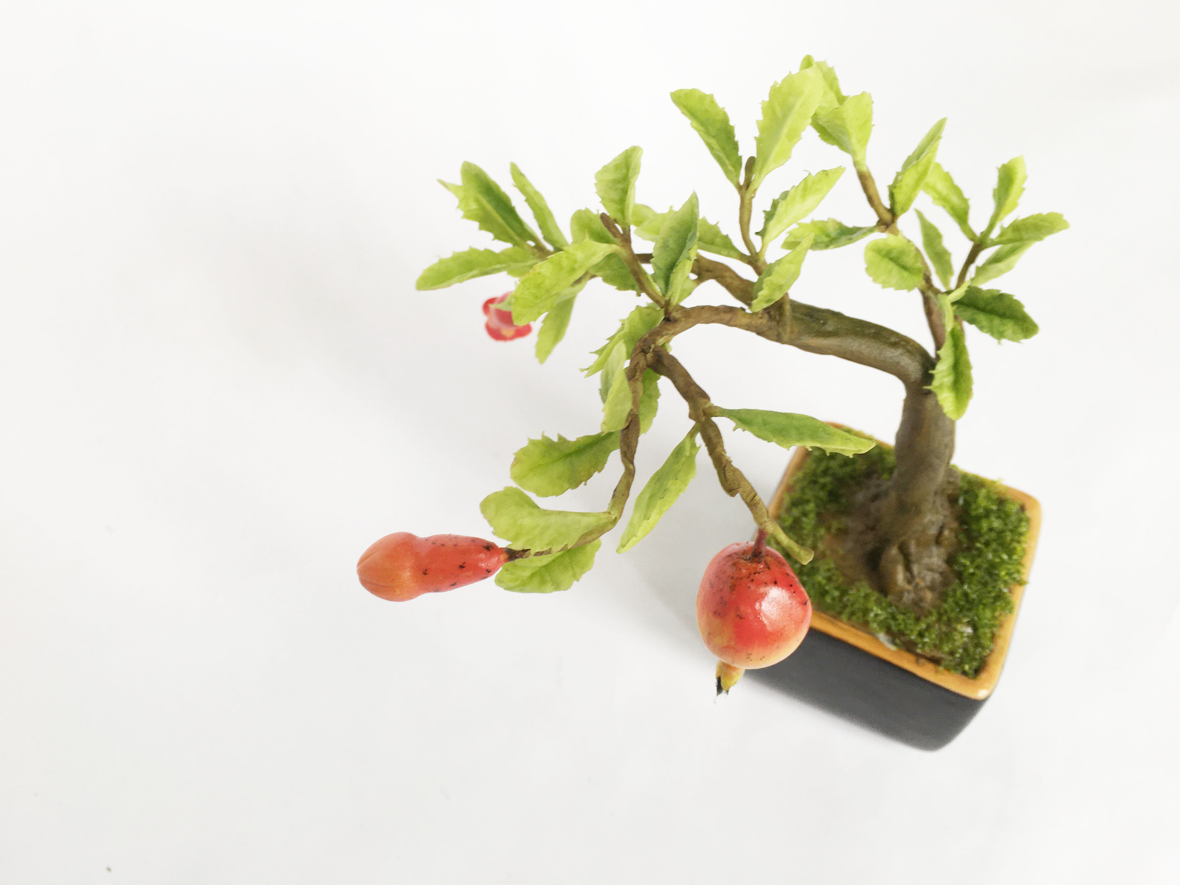 Chậu hoa đất sét mini- Bonsai lựu - Quà tặng trang trí handmade (18x10x10cm)