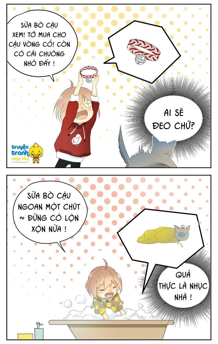 cứu mạng ! loài mèo thống trị thế giới rồi ! chapter 24 18