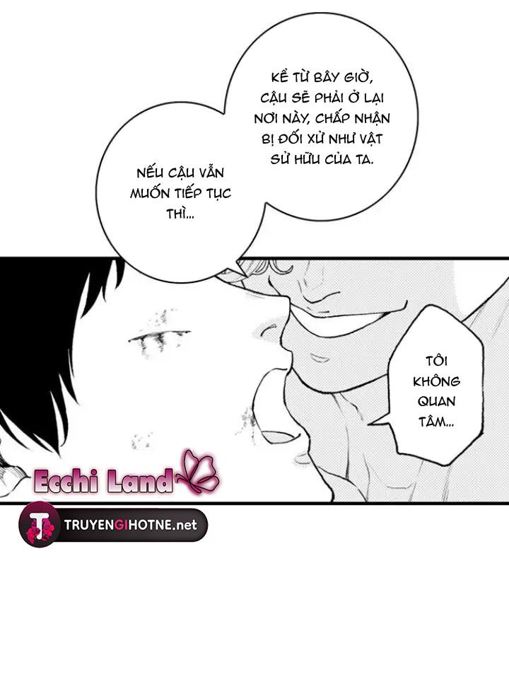 Gửi Em Gái Yêu Dấu, Anh Trai Em Trở Thành Thánh Nữ Mất Rồi chapter 16.2 - Trang 14