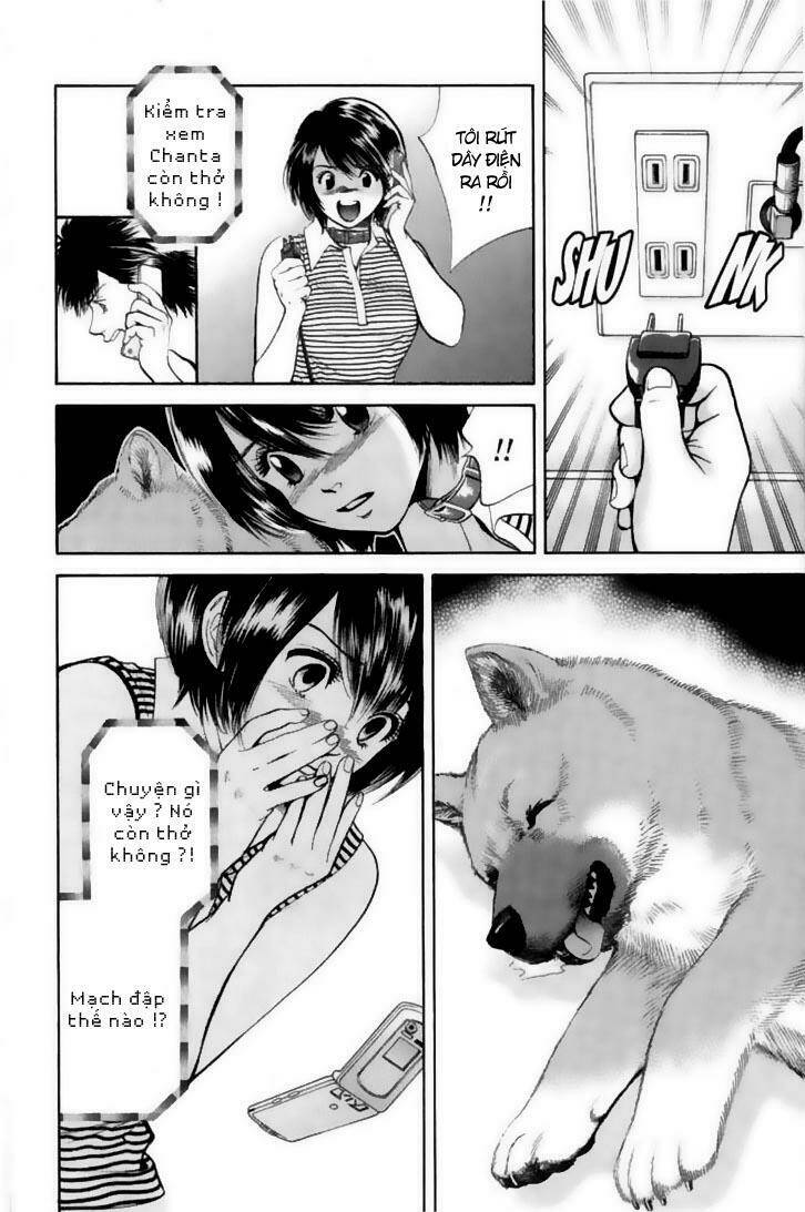 cô nàng yêu chó chapter 21 14
