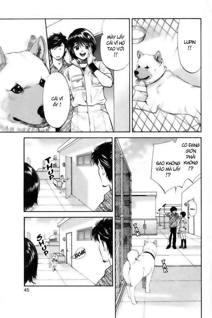 cô nàng yêu chó chapter 22 3