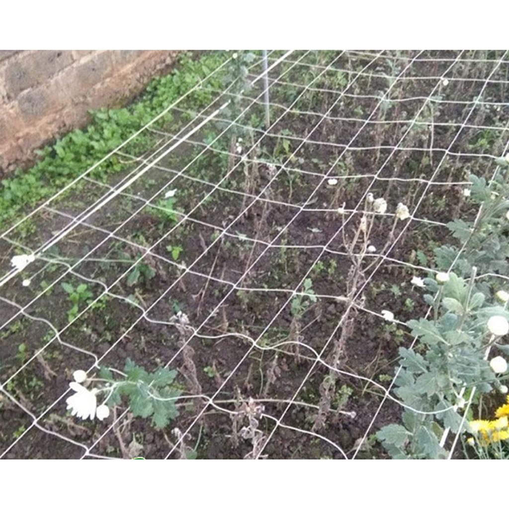 Lưới làm giàn leo sợi kép rộng 2m x 10m dài, sợi dai, bền, chắc, độ bền 5 năm