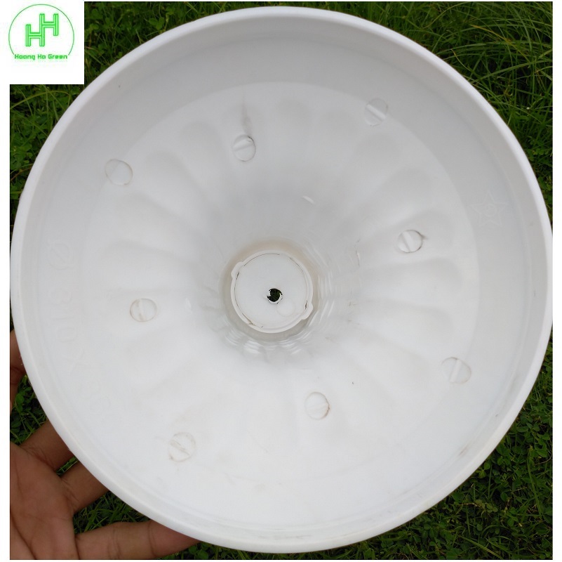 2 Chậu LY nhựa kèm ĐẾ tách rời, trồng hoa, cây cảnh, sen... Size1 , Kt: 30x33