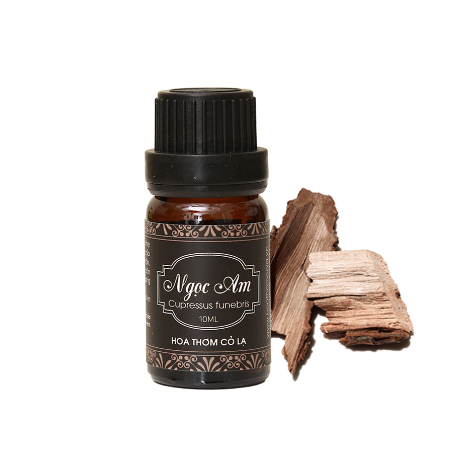 Tinh Dầu Ngọc Am - Cupressus Funebris Essential Oil - Hoa Thơm Cỏ Lạ