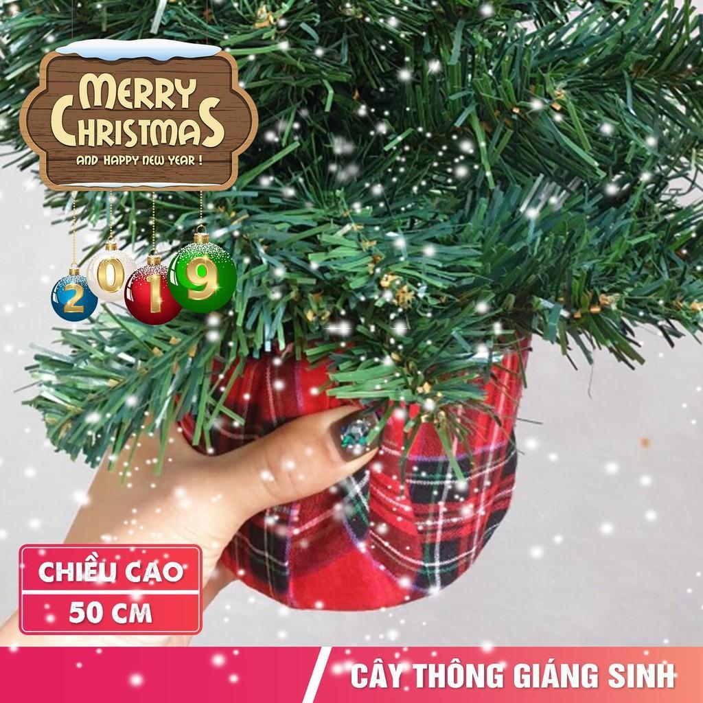 Cây thông Noel mini trang trí cao 50cm tặng phụ kiện Cây thông mini 50cm đầy đủ phụ kiện mẫu C12