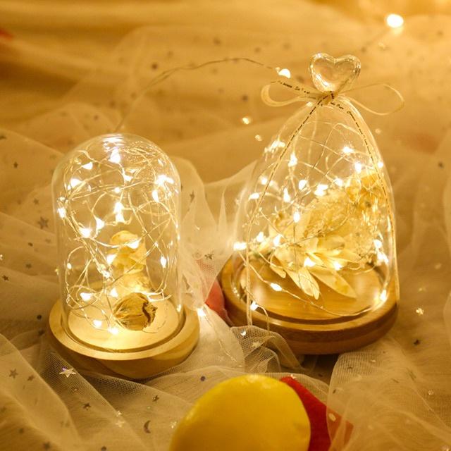 Dây đèn LED đom đóm fairylight dài 3 mét có sẵn pin siêu rẻ