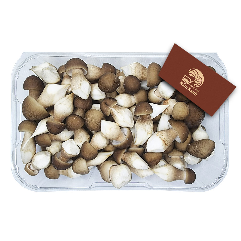 Nấm Mối Đen Tươi 200gr - Nông Trại Nấm Xanh