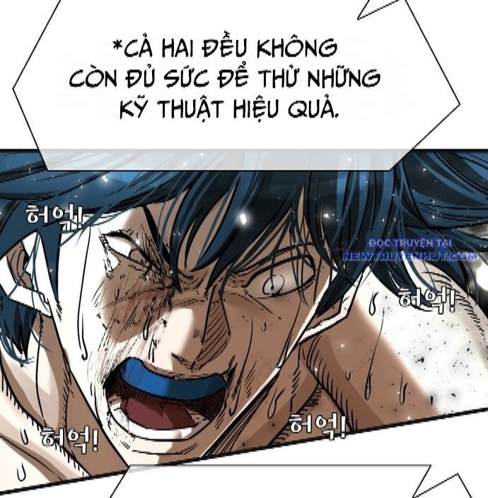 shark - cá mập chapter 340 51