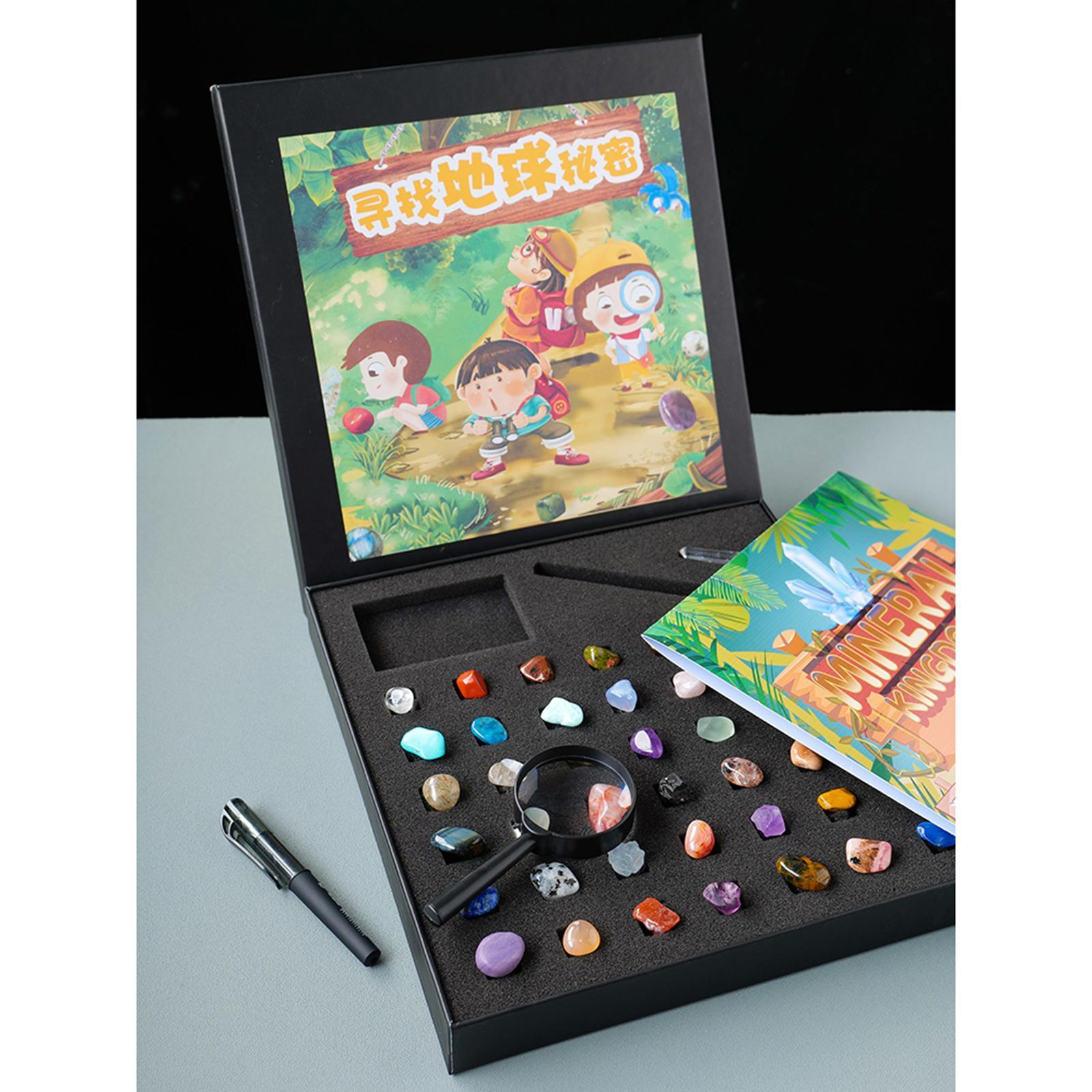 Rock and Mineral Collection Geology Educational Toys Activities for Decors