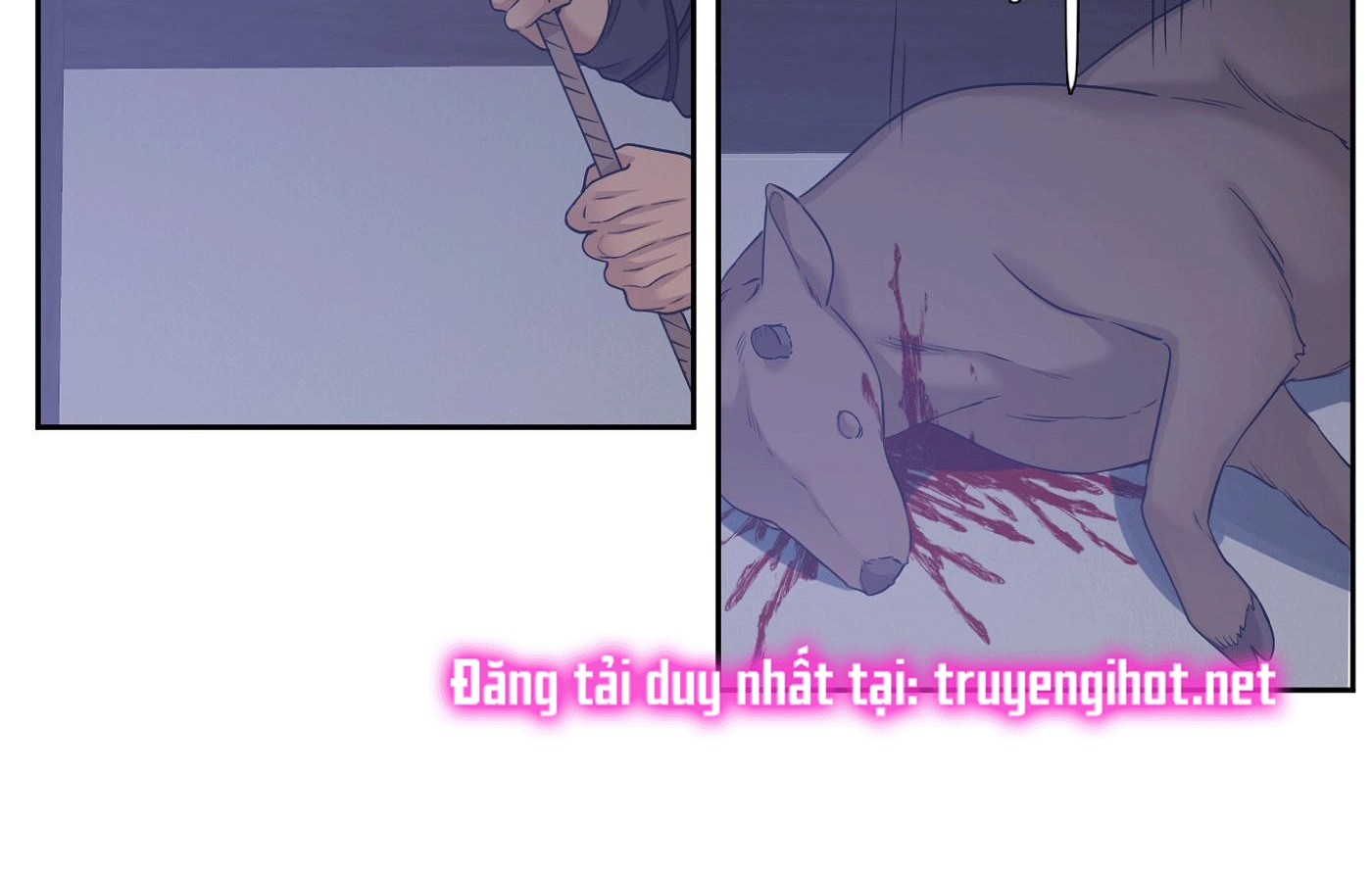 mắt phủ toàn sương chapter 56 66